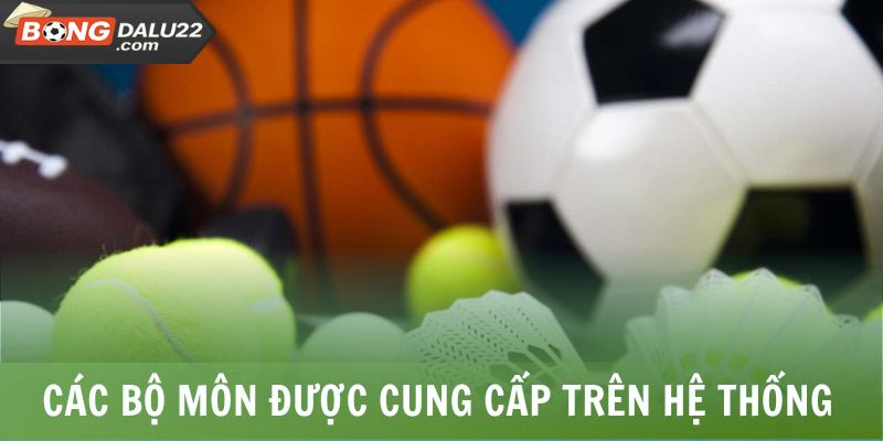 Các bộ môn được cung cấp trên hệ thống