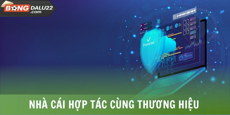 Nhà cái chọn hợp tác cùng trang BONGDALU