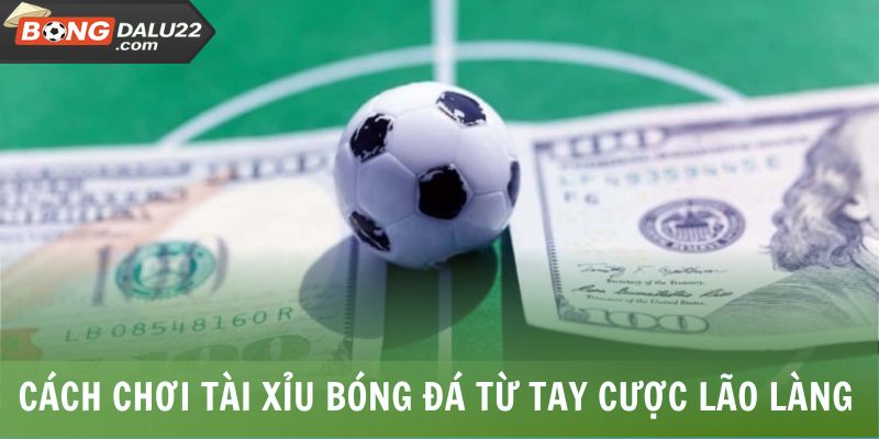 Cách chơi tài xỉu bóng đá từ tay cược lão làng