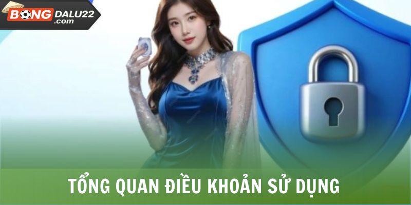 Tổng quan điều khoản sử dụng