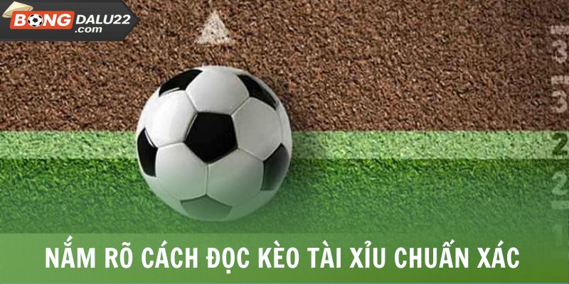 Nắm rõ cách đọc kèo tài xỉu chuẩn xác
