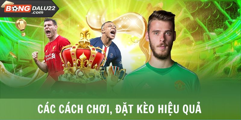 Odds Là Gì? Cách Tính Odds Cơ Bản, Dễ Hiểu Tại BONGDALU 7 Các cách chơi, đặt kèo hiệu quả