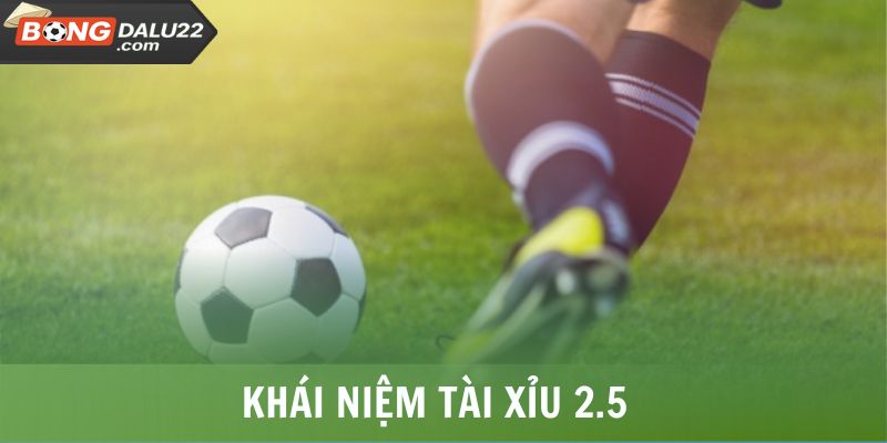 Khái niệm Tài Xỉu 2.5 