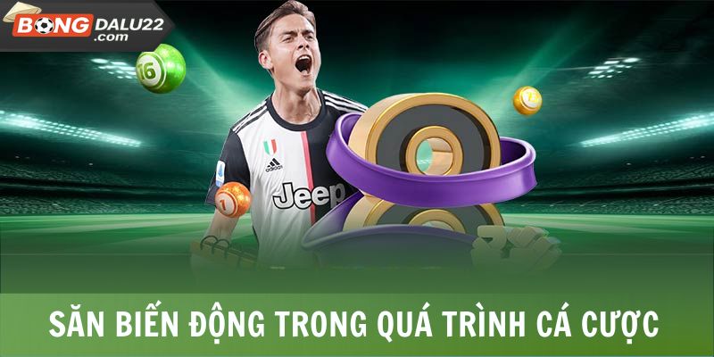 Săn biến động trong quá trình cá cược