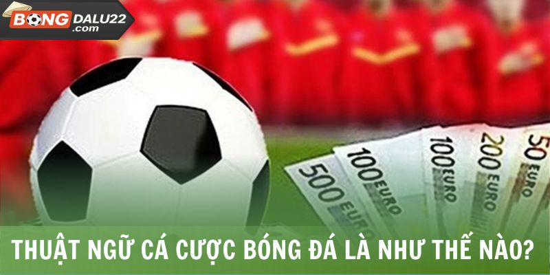 Đôi nét thuật ngữ cá cược bóng đá 