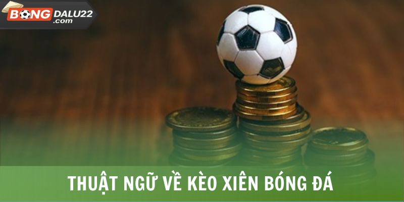 Thuật ngữ về kèo xiên bóng đá