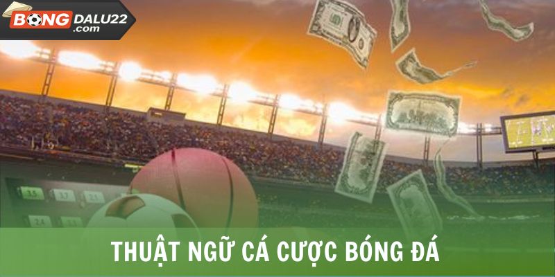 Thuật Ngữ Cá Cược Bóng Đá